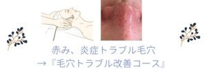 毛穴トラブル改善コース